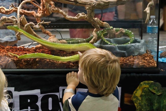 The National Reptile Breeders' Expo takes place Saturday and Sunday at the Ocean Center in Daytona Beach.