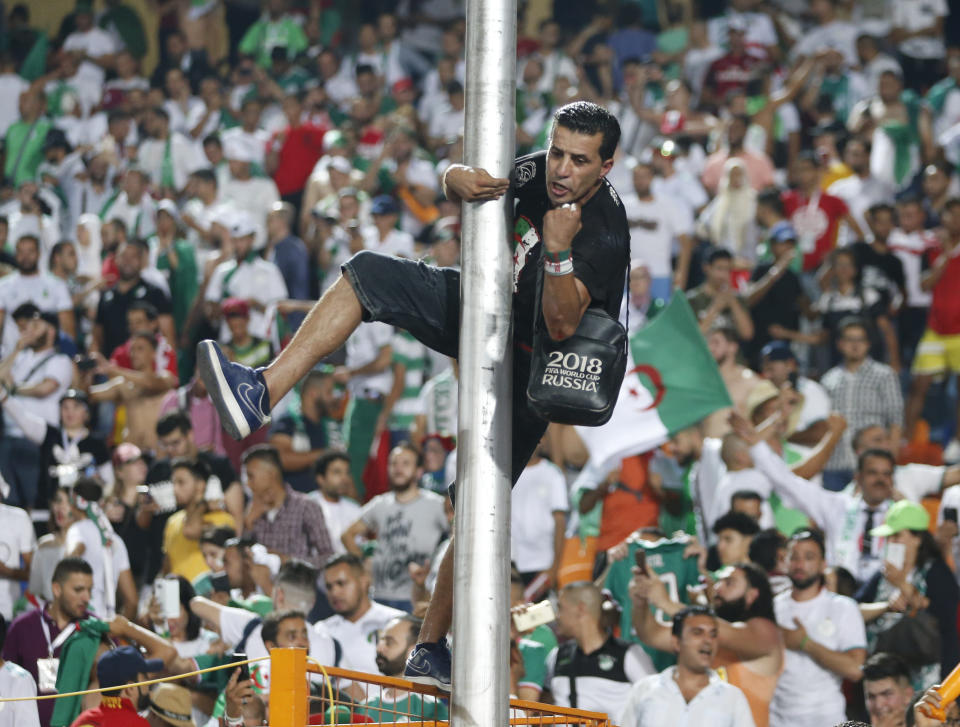 Algerian fan celebrates after the African Cup of Nations semifinal soccer match between Algeria and Nigeria in Cairo International stadium in Cairo, Egypt, Sunday, July 14, 2019. (AP Photo/Ariel Schalit)