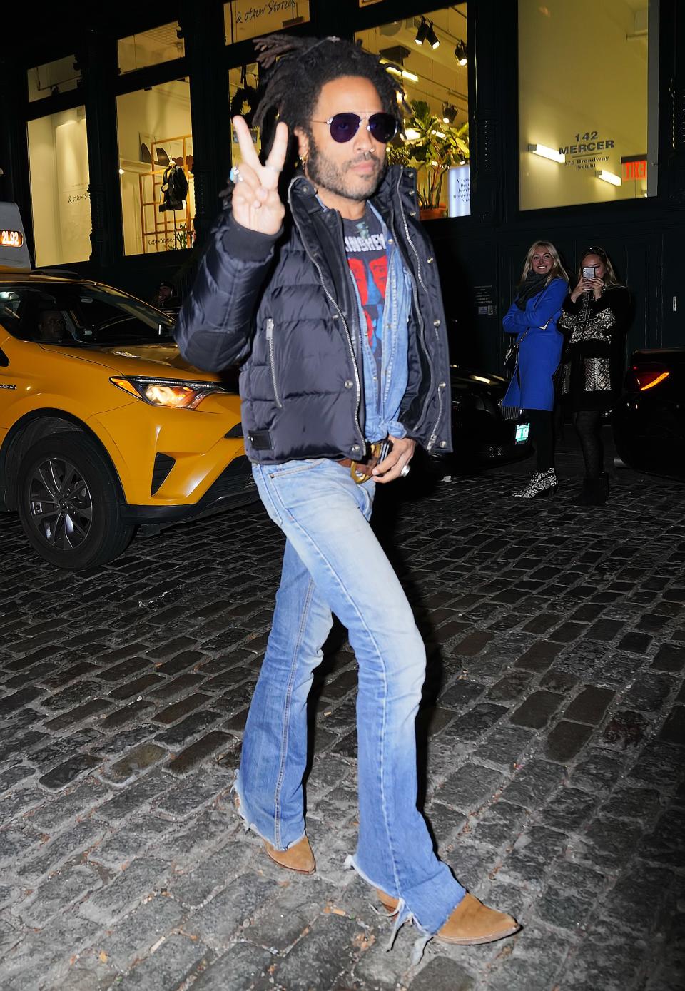 WHO: Lenny Kravitz