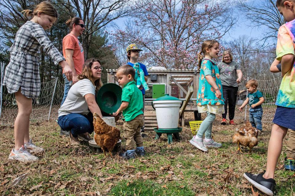 From left, Bella Holleman, 10, Travis Holleman, Talon Holleman, Lucas Albanese, 1, Emmett Holleman, 7, Piper Albanese, 6, Heather Robinson, Carter Robinson, 1, Christopher Albanese, 4, (not pictured) and Nash Hartstein, 6, learn a bit about farming and animal care on the R.O.O.T.S. (Reaching Outside of Traditional Schooling) Youth+ Development Program's family homestead in Georgetown, Wednesday, March 13, 2024.