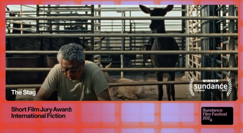 《公鹿》獲得美國日舞影展國際劇情短片單元評審團獎。（圖／翻攝自日舞影展粉絲專頁）