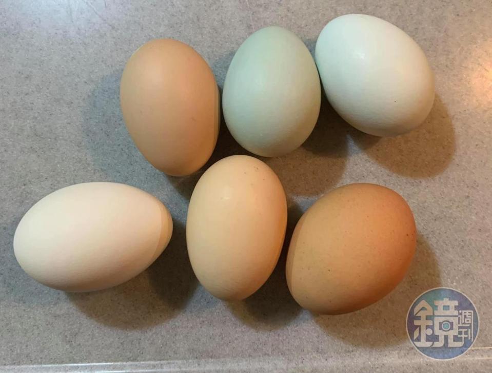 蛋用了10顆。