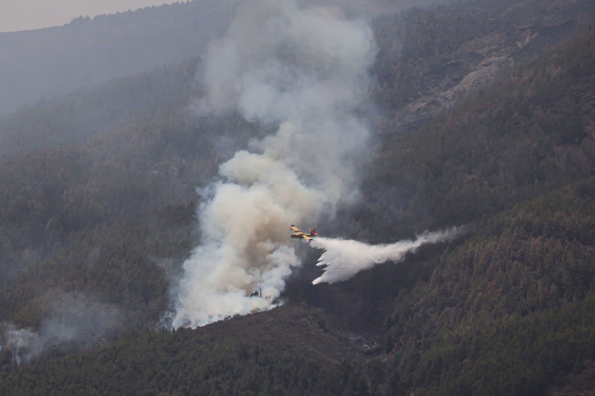 A firefighter plane discharges water over Guimar, as wildfires rage out of control on the island of Tenerife, Canary Islands (REUTERS)