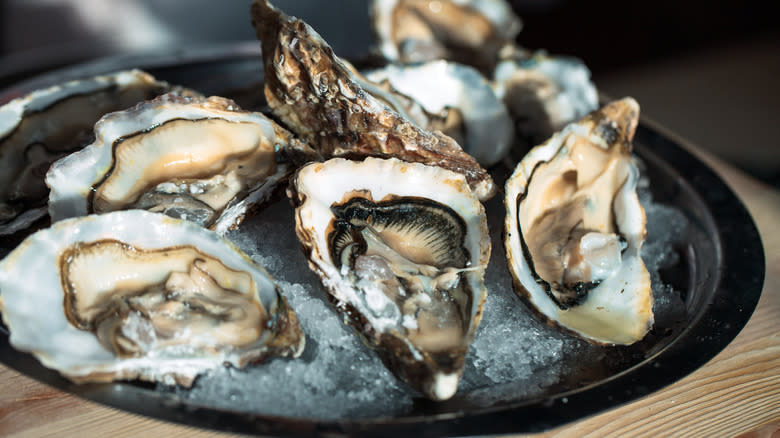 Plate of oysters