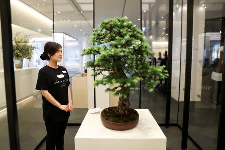 An employee looks at a bonsai tree at the newly-opened Japan House in the Kensington district of London, Britain June 21, 2018. REUTERS/Simon Dawson