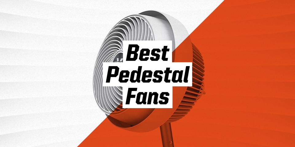 The 10 Best Pedestal Fans for Every Room in Your Home
