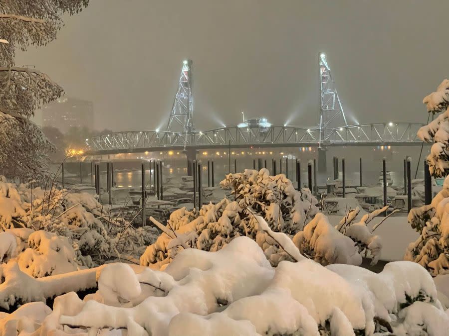Record snow over downtown Portland as seen by KOIN 6 Meteorologist Josh Cozart