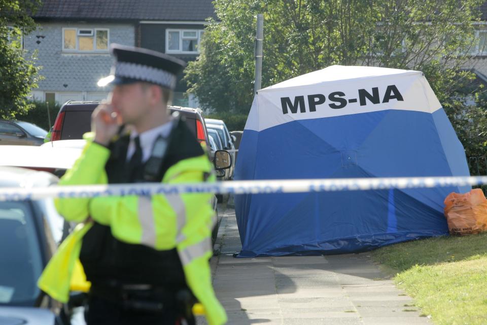 Police at the scene in north London (Matt Writtle)