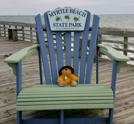 Thompson McDaniel vergisst seinen Teddybär im Myrtle Beach Nationalpark. Doch der geht, dank der Ranger, auf große Rundreise. Am Ende kommt er aber wieder wohlbehalten bei Thompson an. Foto: privat / Facebook / South Carolina State Parks