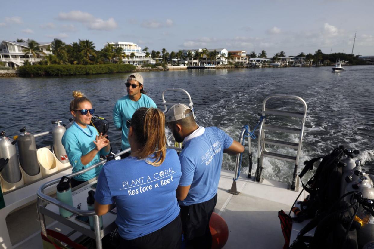 People in shirts reading "Plant a coral, restore a reef" stand on a dive boat as it motors away from shore.