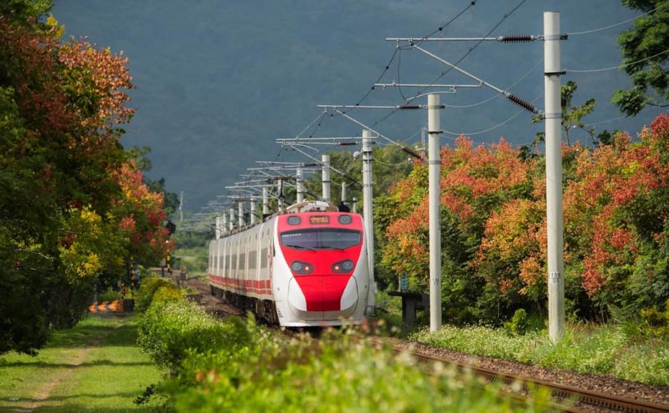 瑞和車站本來只是個偏遠小站，在兩旁種植景觀樹種後意外成為鐵道攝影點。圖：IG@zhaoqin83／攝影授權