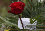 A rose among floral tributes laid in memory of Captain Tom Moore on the village green in Marston Moretaine, England, Wednesday, Feb. 3, 2021. Captain Tom Moore, the 100-year-old World War II veteran who captivated the British public in the early days of the coronavirus pandemic with his fundraising efforts for health care workers, died Tuesday. (AP Photo/Alastair Grant)