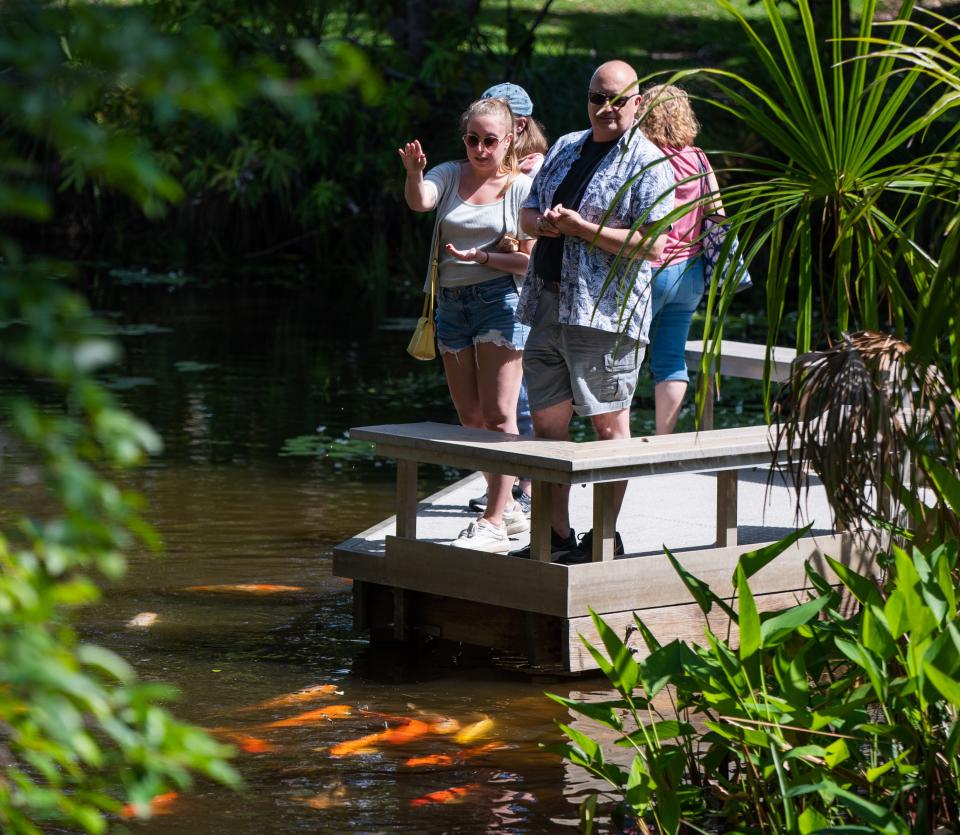 Erin Coffman stands next to her father, Bob, while feeding Koi fish from a small wooden seating area overlooking a creek on Friday, April 21, 2023 at the Mounts Botanical Garden in West Palm Beach, Fla. The Coffmans said they were all visiting Palm Beach County to spend time together, as the family normally lived across different states.