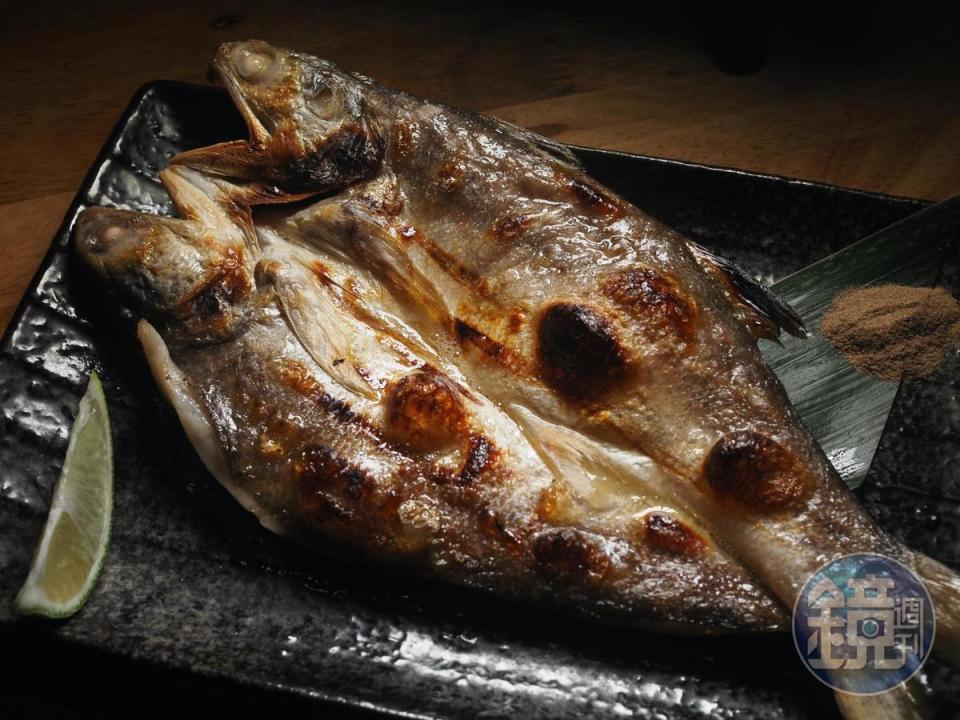 「午仔魚一夜干」油脂飽滿，肉質鮮嫩，最適合炭烤逼出多餘油脂。（259元／尾）