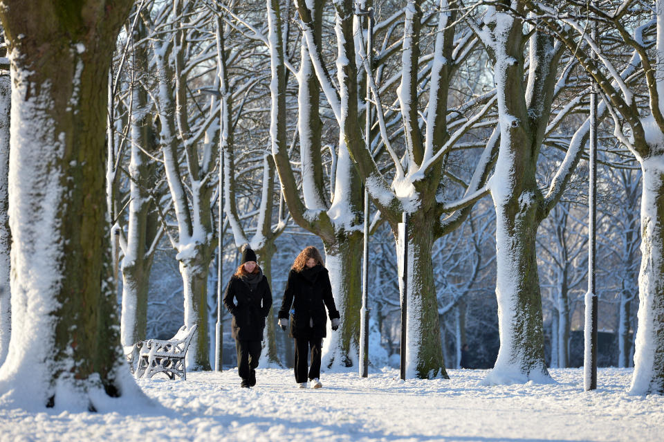 Leicester, Leicestershire, UK 25th Jan 2021. UK. Weather. Snow. A snowy morning in Victoria Park in Leicester City. Alex Hannam/Alamy Live News