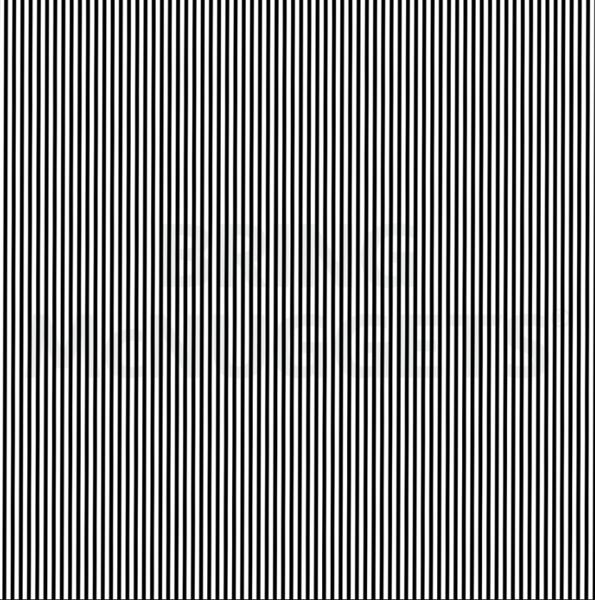 Can you see what this illusion says? Photo: Facebook