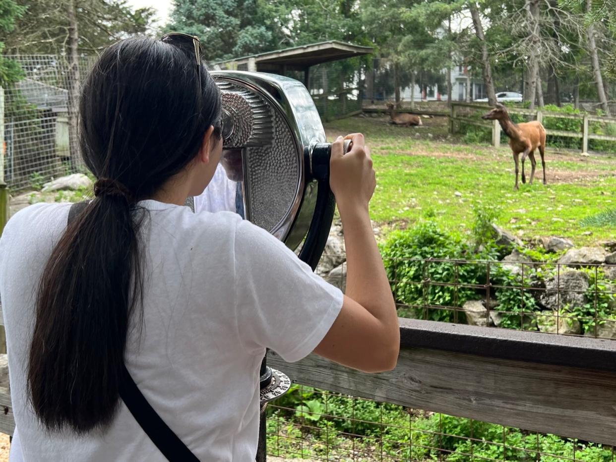 Tower viewers scattered around ZooAmerica give guests a closer look at the animals.