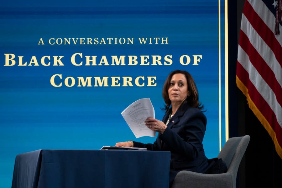 U.S. Vice President Kamala Harris attends a virtual roundtable event with participants from local Black Chambers of Commerce on February 5, 2021 in Washington, D.C. (Photo by Drew Angerer/Getty Images)