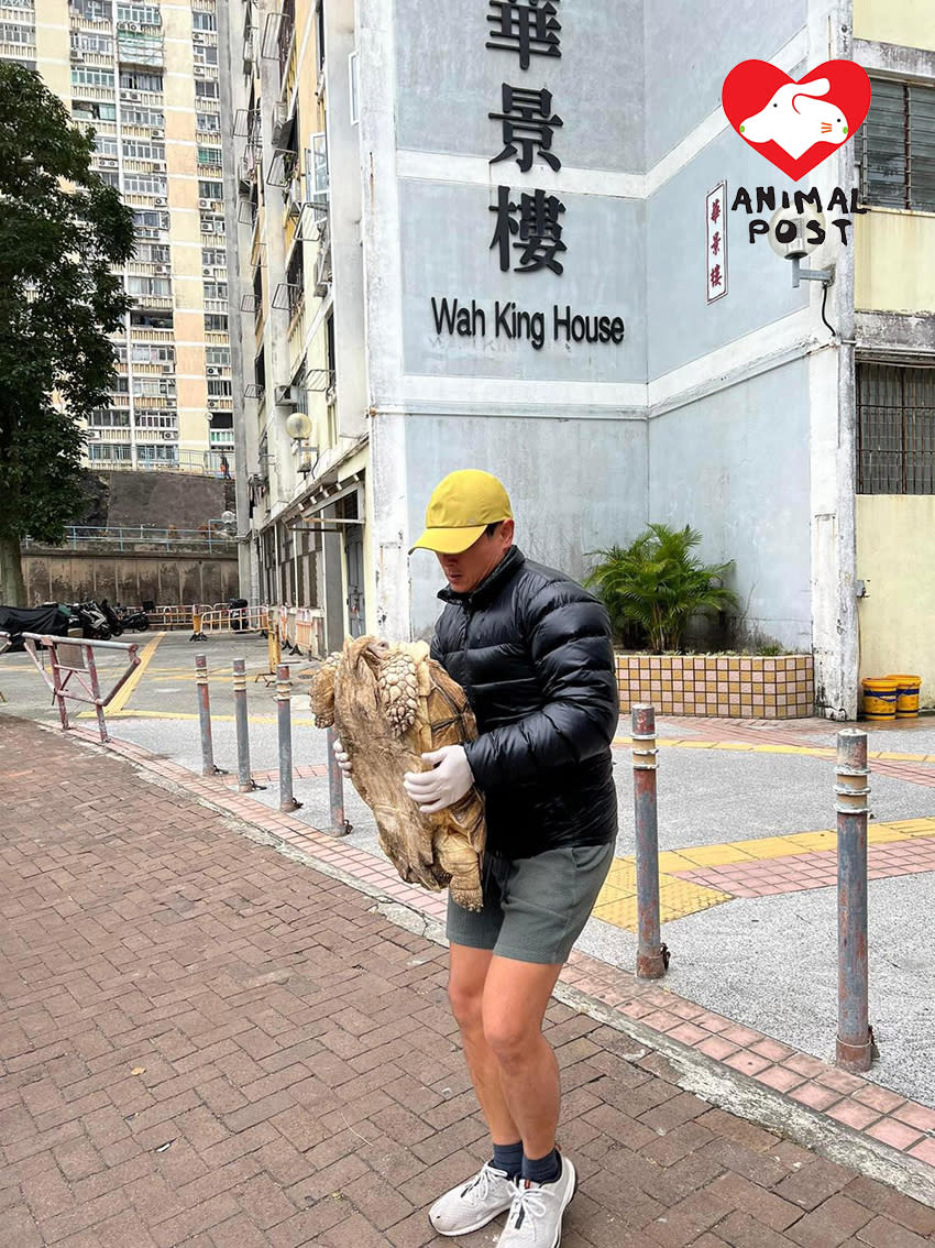 義工在華富邨華景樓接收龜龜