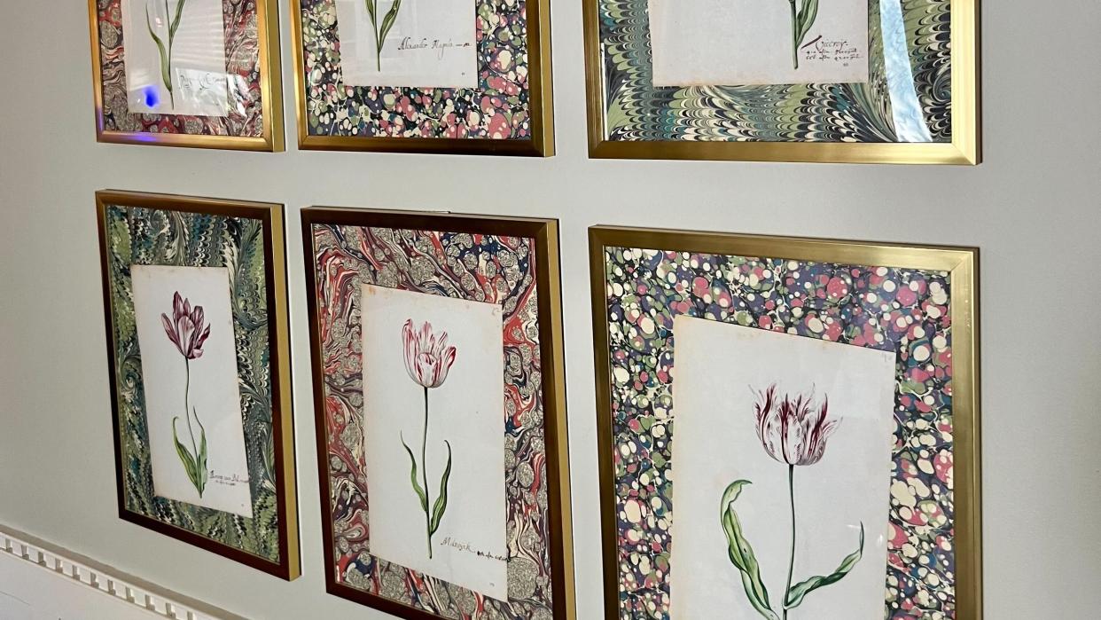 framed botanical prints