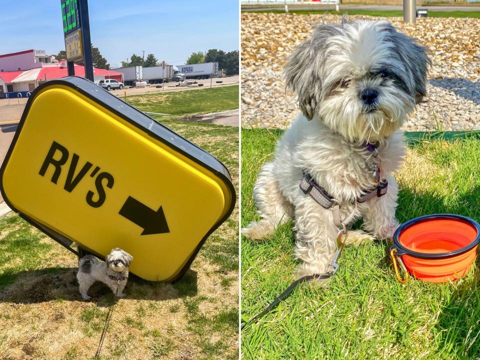 Left: The author's dog stands underneath a yellow, tilted sign that says "RV'S" in patchy grass with a gas station in the background. Right: The same dog sits in the grass with an orange food and water bowl in front of her.