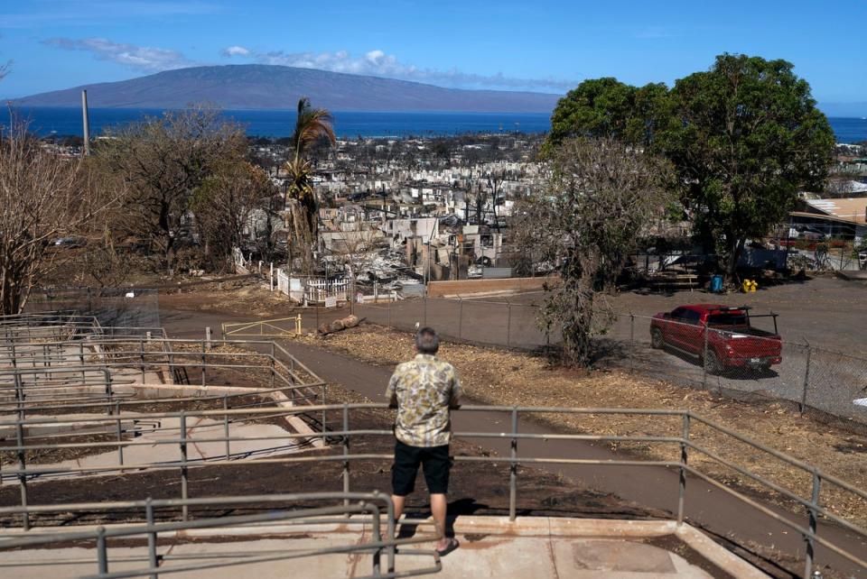 A man views homes consumed by a wildfire in Lahaina (Copyright 2023 The Associated Press. All rights reserved)