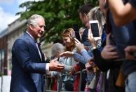 <p>Charles shakes hands with local royal watchers during a walkabout in Belfast.</p>