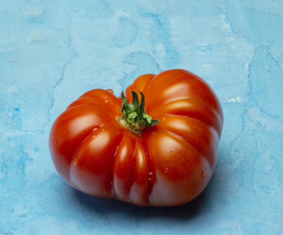 Brandywine tomato variety