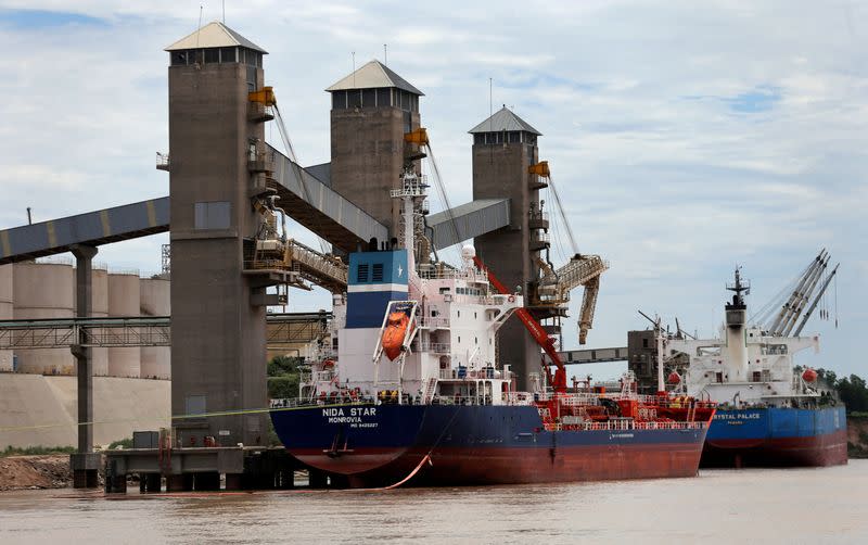 FILE PHOTO: Grain is loaded onto ships for export at a port on the Parana river near Rosario, Argentina