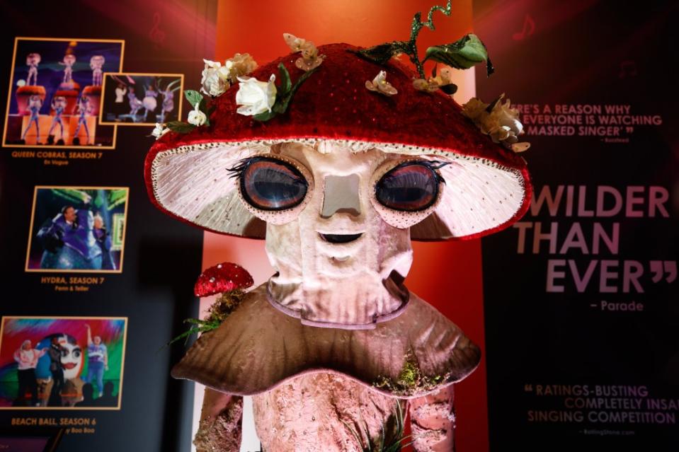The Mushroom costume, as worn by Aloe Blacc in Season 4 Brian Zak/NY Post