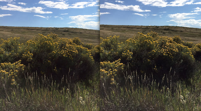 iPhone 5s (left) iPhone 6 Plus (right) side by side photo comparison