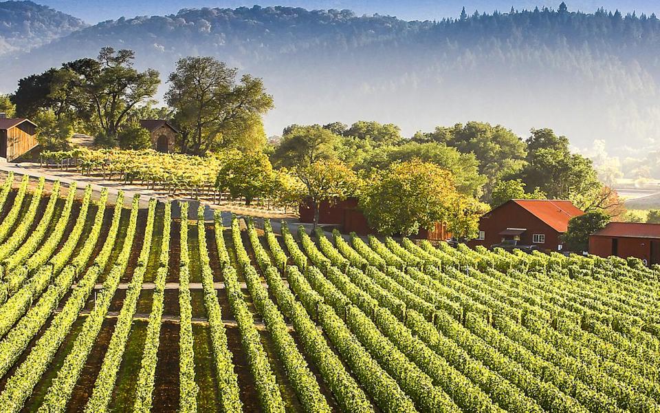 <p>Sip it all in this season with a trip through wine country. </p>