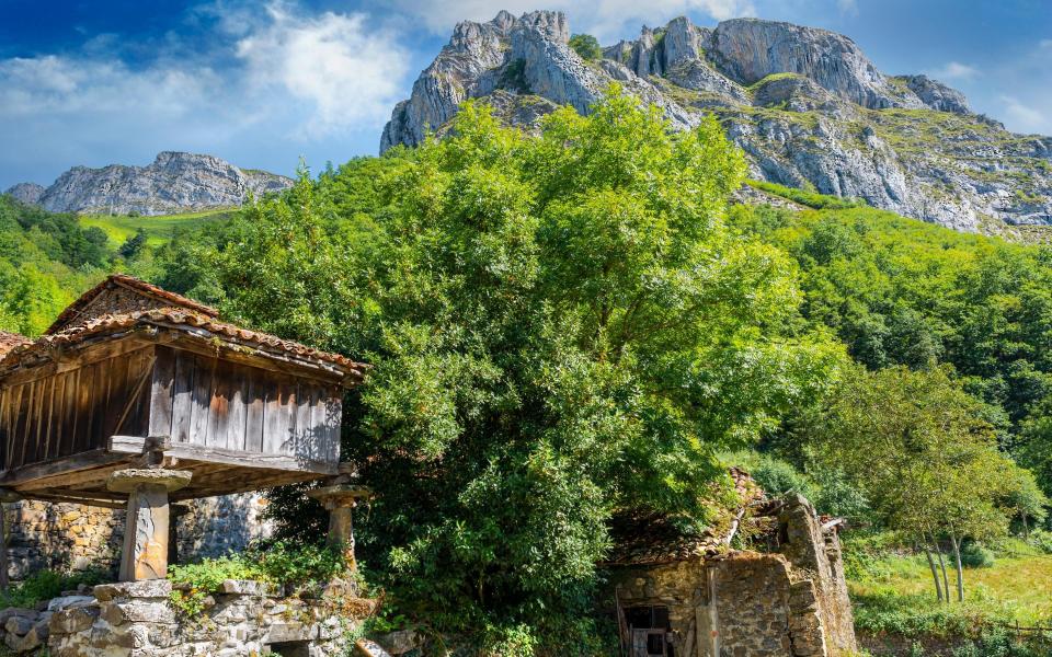 Ponga Natural Park, Spain - Getty