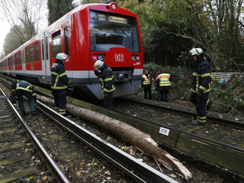 Auch die Hamburger S-Bahn wurde vom Sturm ausgebremst. Foto: Paul Weidenbaum