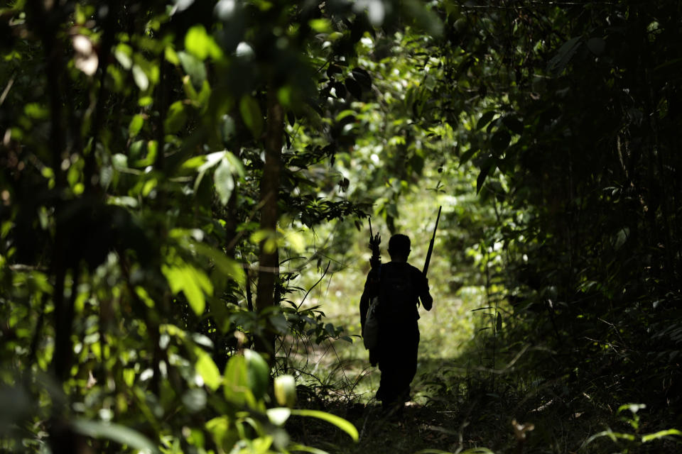 Tenetehara Indigenous man Regis Tufo Moreira Tembe patrols with the Ka’Azar, or Forest Owners, on the Alto Rio Guama reserve in Para state, near the city of Paragominas, Brazil, Tuesday, Sept. 8, 2020. Three Tenetehara Indigenous villages patrol to guard against illegal logging, gold mining, ranching, and farming on their lands, as increasing encroachment and lax government enforcement during COVID-19 have forced the tribe to take matters into their own hands. (AP Photo/Eraldo Peres)