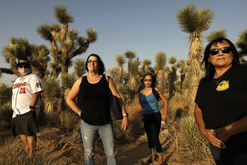 LANCASTER, CA - JULY 11, 2021 - - RiteAid workers Jesus Ramos, from left, Debbie Fontaine, Sylvia Estrada and Debbie Fontaine stand among the Joshua trees at the Prime Desert Woodland Preserve in Lancaster on July 11, 2021. All have complained about the hot working conditions at a RiteAid warehouse where they work that doesn't offer enough air conditioning and creates an unhealthy work environment. Some workers have had to be taken away by ambulance for heat exhaustion. (Genaro Molina / Los Angeles Times)
