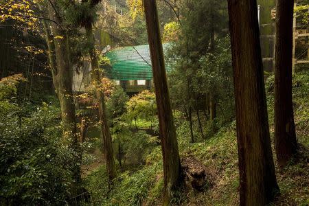 The Tenouzan tunnel for the Meishin highway cuts through the forest behind Suntory Holdings' Yamazaki Distillery in Shimamoto town, Osaka prefecture, near Kyoto, December 1, 2014. REUTERS/Thomas Peter