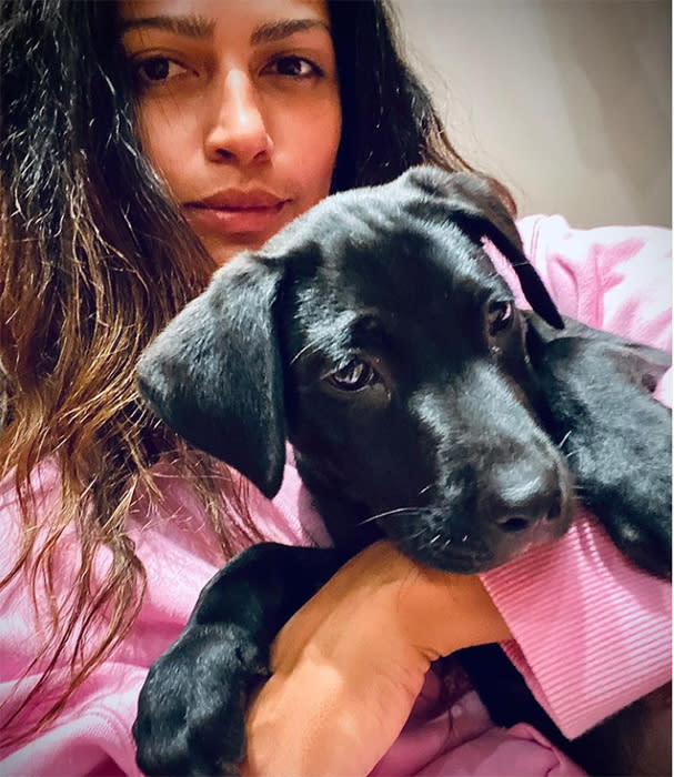 camila-alves-puppy