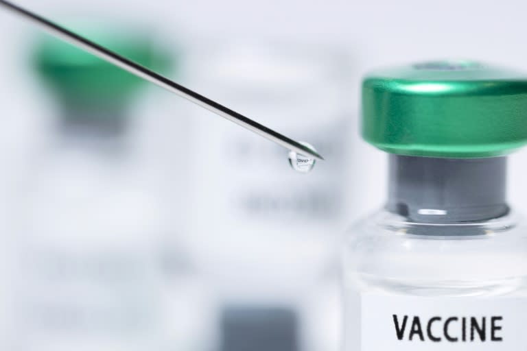 Il est encore trop tôt pour connaître précisément leur virulence mais si l'on en croit de premières données, les vaccins continuent d’offrir une bonne protection contre les formes sévères du Covid (AFP/JOEL SAGET)