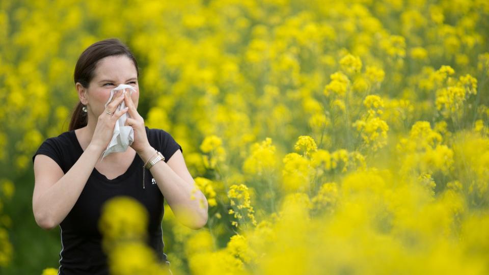 Im Frühjahr ist die Zeit für die Pollenallergie. Viele Menschen leiden an Heuschnupfen. Foto: Friso Gentsch