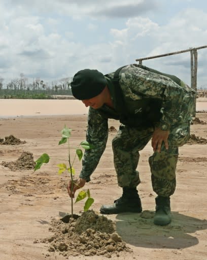 A soldier plants a sapling in the sand at a former illegal mining camp that will now be used as a military base to combat deforestation