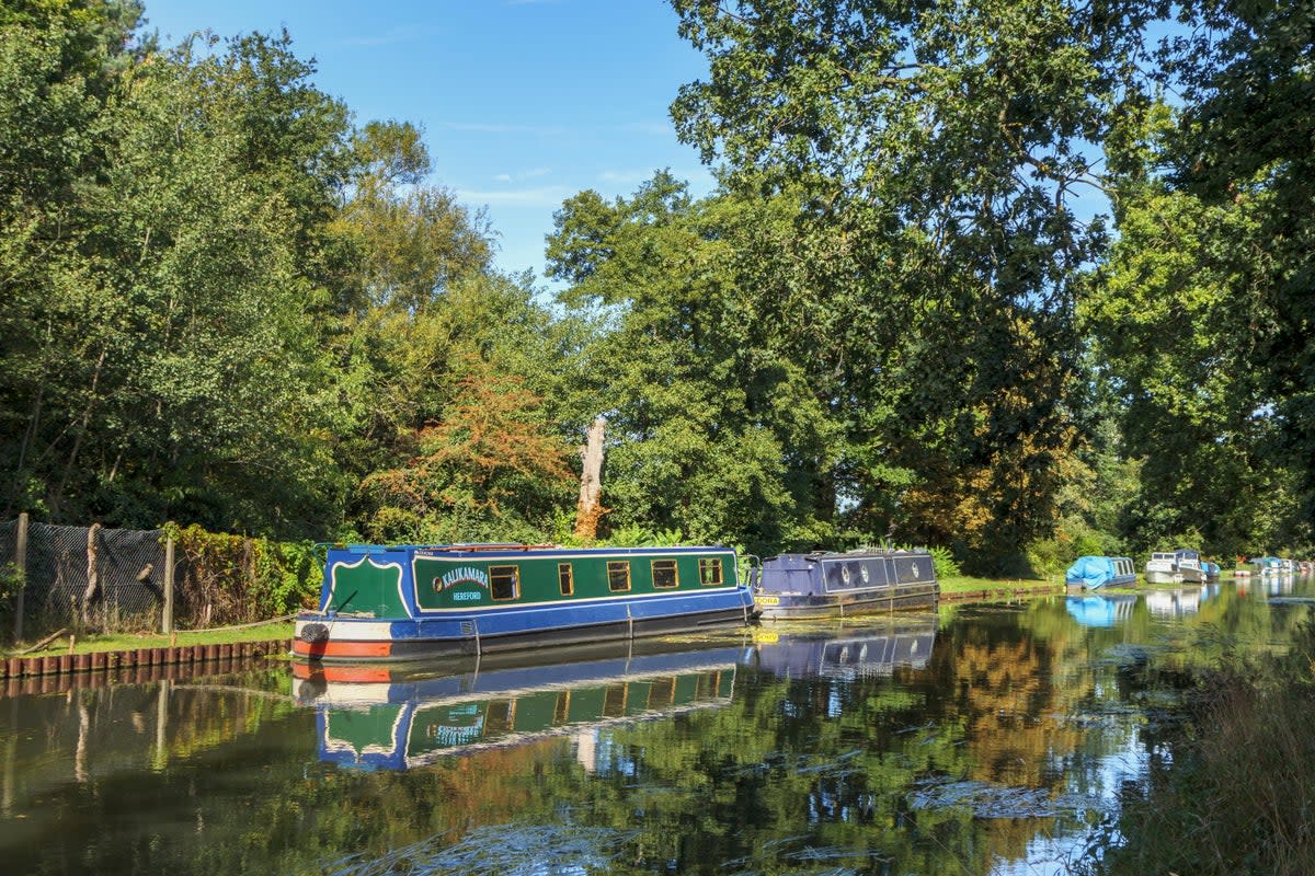 Locals in West Byfleet, Surrey, can enjoy walks by the Basingstoke Canal   (Alamy Stock Photo)