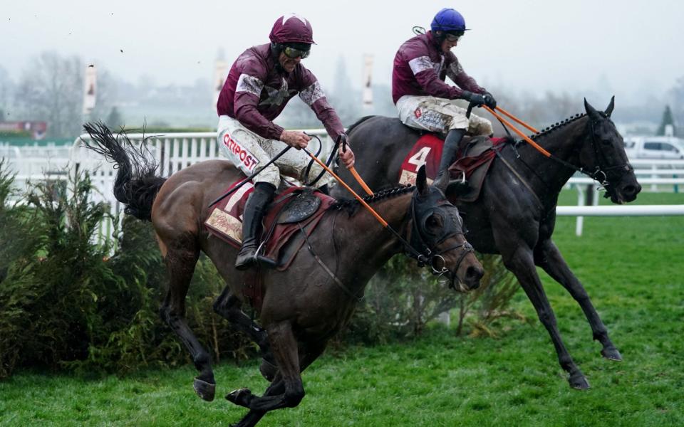 Tiger Roll's fairytale Cheltenham finale falls just short with gallant second in Cross Country Chase - PA