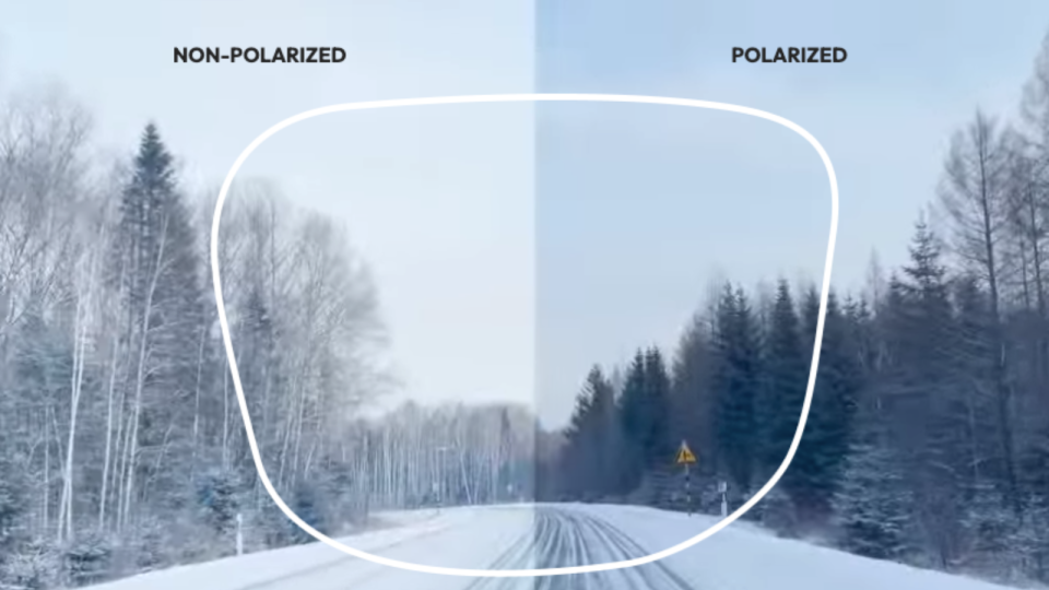 Polarized lenses can make the difference.