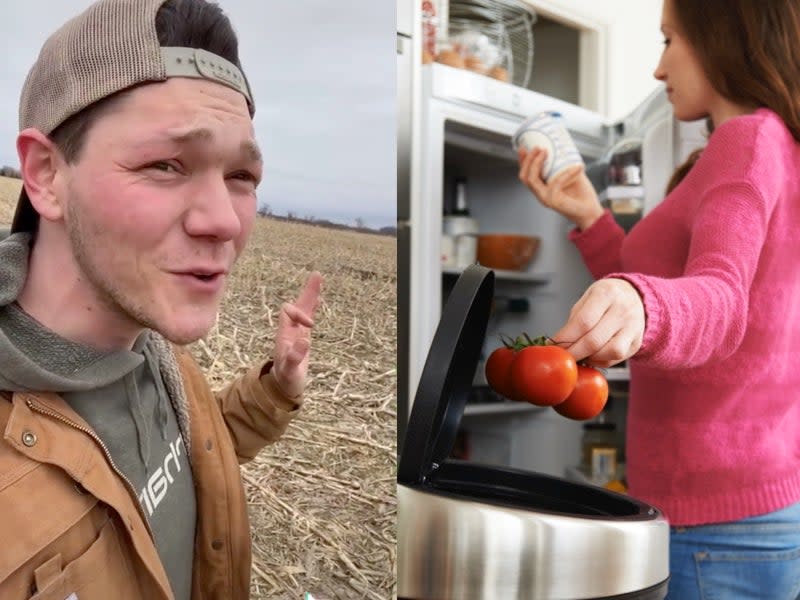 Farmer calls out expiration dates and the food industry on TikTok  (TikTok / @haydenjfox / Stock)