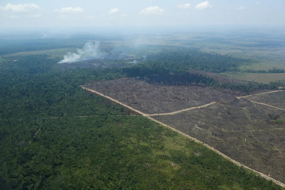 Desmatamento na Amazônia aumenta em e é o maior em anos GR