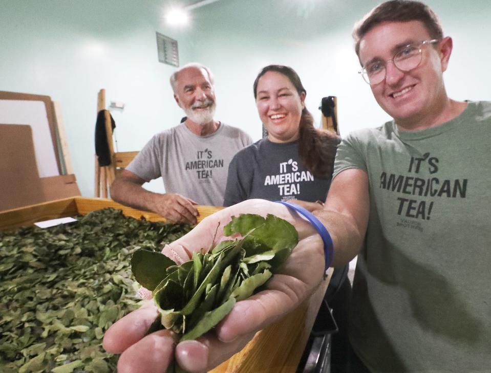 Bryon White holds a handful of yaupon tea leaves from one of the drying racks with co-owners Mark and Shelly Steele, Friday, Feb. 25, 2022, at the Yaupon Brothers tea factory in Edgewater.