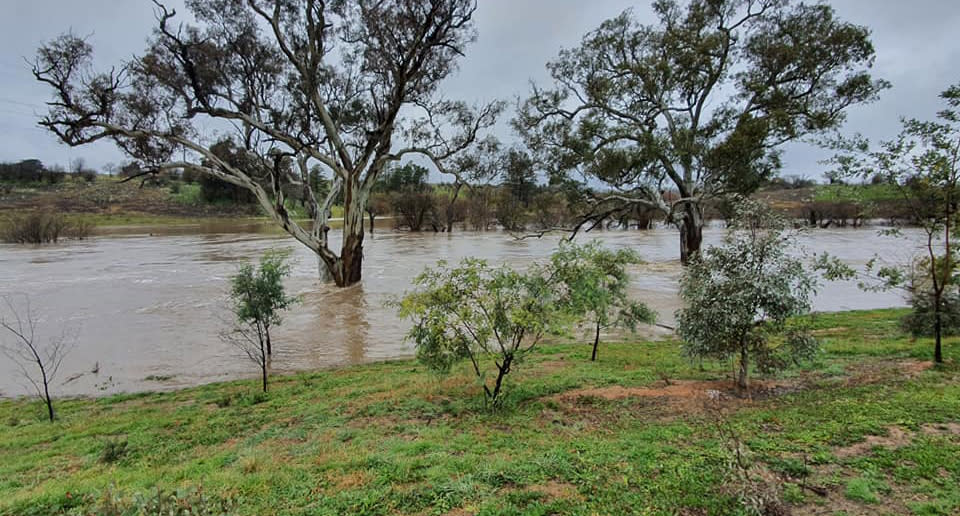 Yass, NSW, is pictured after August rainfall.