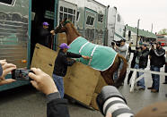 California Chrome arrives at Churchill Downs for the Kentucky Derby in Louisville, Ky., Monday, April 28, 2014. California Chrome has won his last four races by a combined 24 ¼ lengths. (AP Photo/Garry Jones)