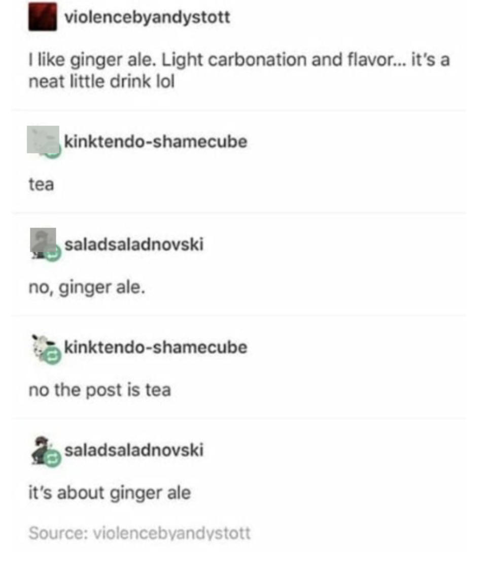 "I like ginger ale, light carbonation and flavor — it's a neat little drink lol," "tea," "no, ginger ale," "no, the post is tea," It's about ginger ale"